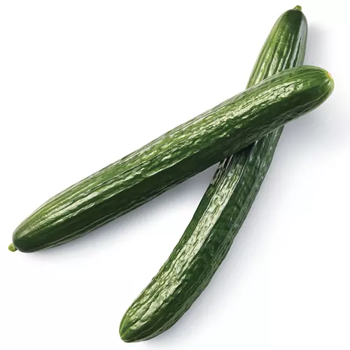 English Cucumbers XL