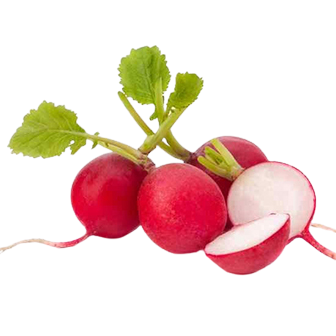 Radish ±200g pkt