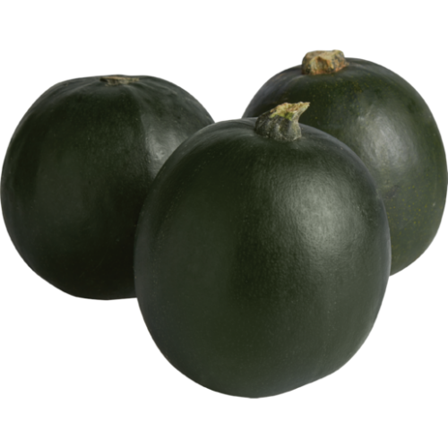Gems Squash