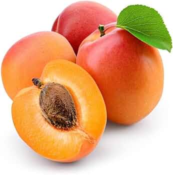 Apricots