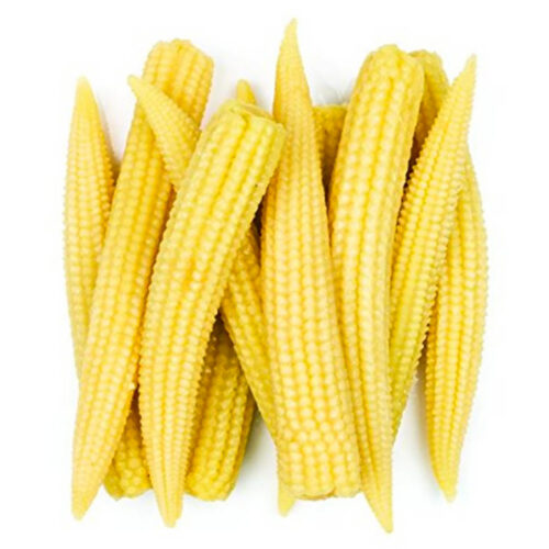 Baby Corn ±100g pkt