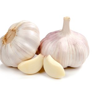 Fresh Garlic