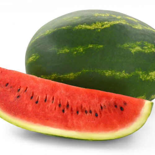 Watermelon XL