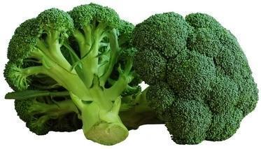 Fresh Broccoli