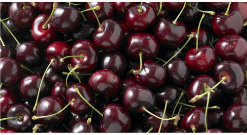 Cherries XL