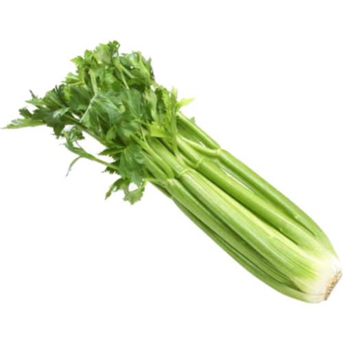 Table Celery Per Bunch