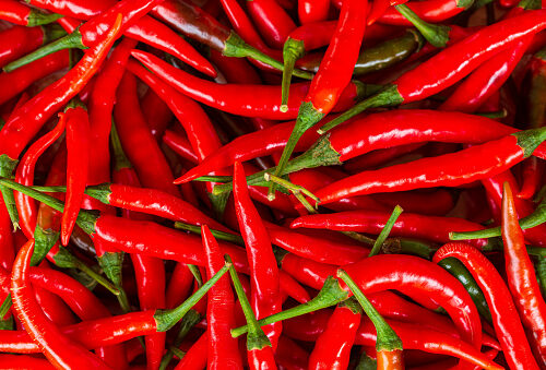 Red Chillies