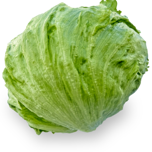 Lettuce Each