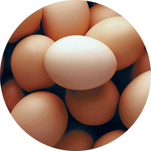 Eggs